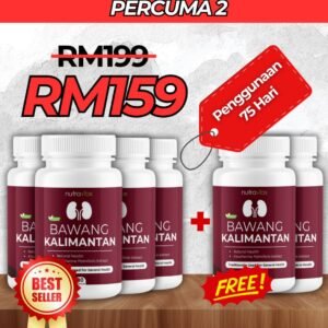 Pakej 4 Percuma 2